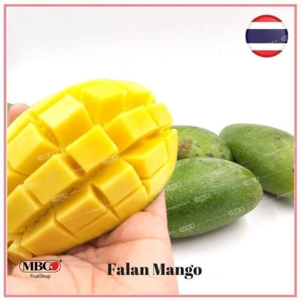 Falan mango- sweet green mango