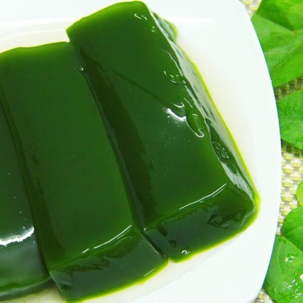 Jelly plant -Cây sương sâm