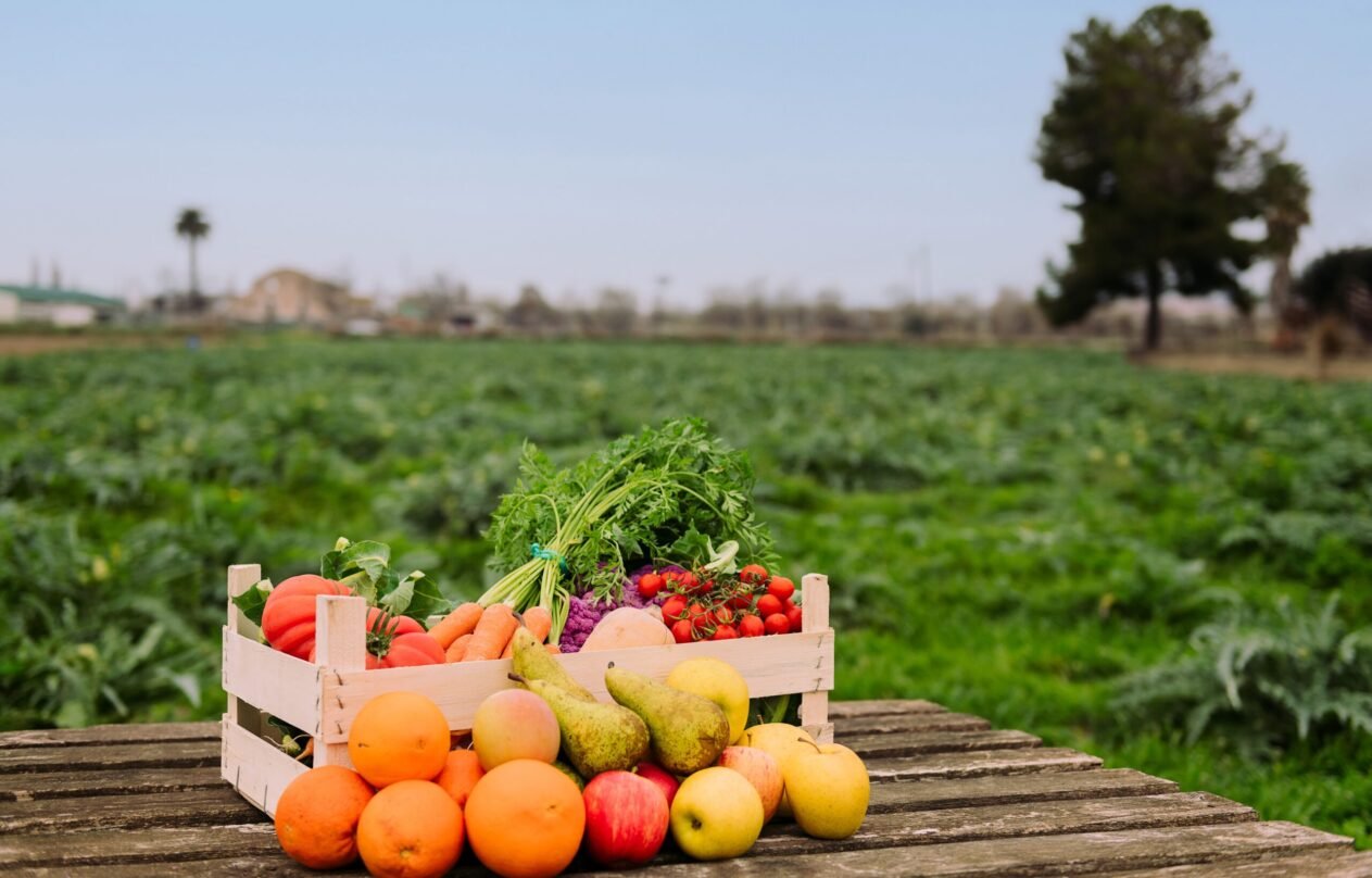 crate-with-vegetables-fruits-crop-field